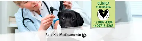 Raio-X e medicamentos veterinários na Clínica Inoue