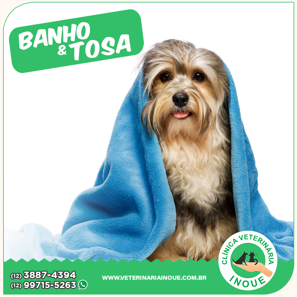 Banho e Tosa para Cachorro Telefone Ibitinga - Pet Shop Perto de